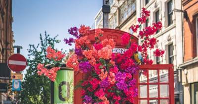 City blooms back to life with Manchester Flower Show - www.manchestereveningnews.co.uk - Manchester