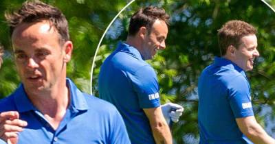 Ant McPartlin had 'the time of his life' at his booze-free stag party - www.msn.com