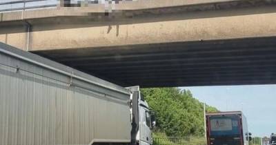 Hero lorry driver 'saves man's life' after parking under M62 bridge to stop him jumping - www.manchestereveningnews.co.uk