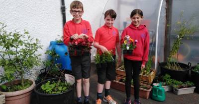 Perthshire primary pupils improve their playground - www.dailyrecord.co.uk