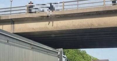 Valiant driver 'saves man's life' after parking underneath bridge to stop him jumping - www.dailyrecord.co.uk - Birmingham