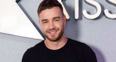 Liam Payne to bring his Alcoholics Anonymous experiences to screen, working on film with Russell Brand - www.pinkvilla.com