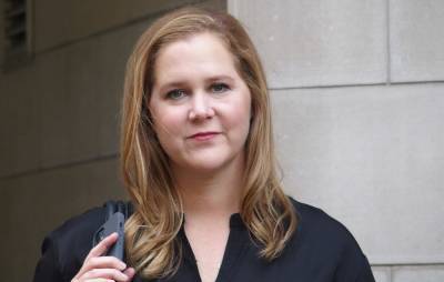 Viral Amy Schumer doppelgänger truck stop photo looks to be fake after all - www.nme.com