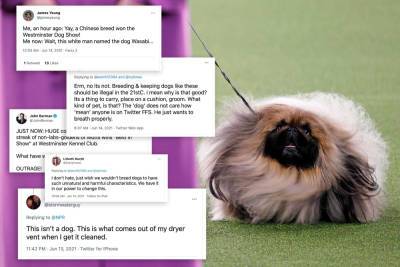 Bone to pick: Westminster dog show winner Wasabi sparks controversy - nypost.com