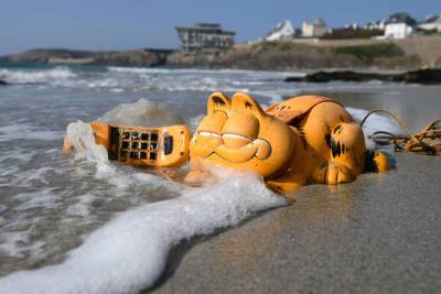 Garfield phones wash up on beach, spark hilarious reactions - nypost.com - France