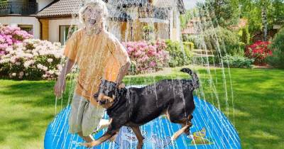 Amazon is selling a doggy sprinkler paddling pool to keep your pet cool as the temperature soars - www.ok.co.uk