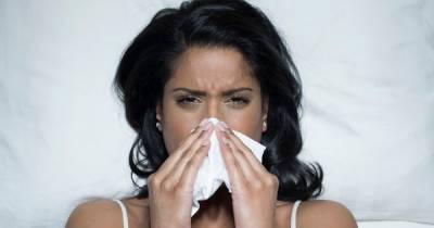 Sex could be your answer to a hay fever free summer, scientists claim - www.ok.co.uk