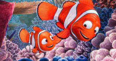 Heartbreaking Finding Nemo fan theory is blowing up on TikTok and 'ruining childhoods' - www.ok.co.uk - USA