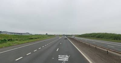 Traffic chaos on M8 as car crash sparks delays on busy motorway - www.dailyrecord.co.uk - Scotland