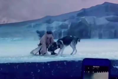 Chinese play criticized for literally throwing actors to the wolves - nypost.com - China