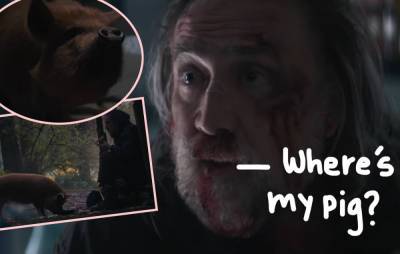 Nicolas Cage Searches For His Kidnapped Truffle Pig In Bizarre New Trailer! - perezhilton.com