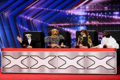 Trained Dogs Take Over The ‘AGT’ Judging In Wild Animal Act - etcanada.com