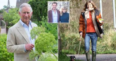 Dominic West's wife sparks unlikely friendship with Prince Charles - www.msn.com - Ireland