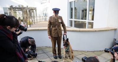 Meet the dog heroes who won medals for bravery - www.manchestereveningnews.co.uk - county Cross