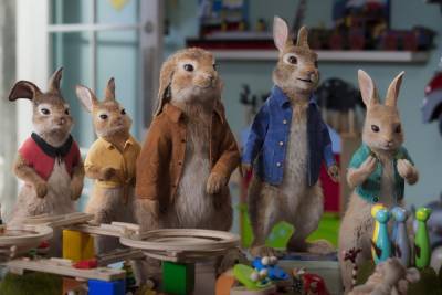 ‘Peter Rabbit 2: The Runaway’ is a Story About Identity, Perception, and Change - www.hollywood.com