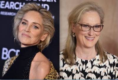 Sharon Stone Goes Viral For Comment About Hollywood’s ‘Iconography’ Of Meryl Streep So ‘We Should All Envy & Admire Meryl’ - etcanada.com - county Stone