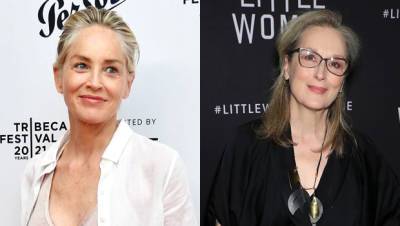 Sharon Stone’s Strong Opinions About Meryl Streep’s Career Go Viral On Twitter - hollywoodlife.com - county Stone