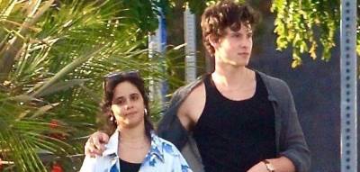 Shawn Mendes & Camila Cabello Do Date Night with Their Pals! - www.justjared.com