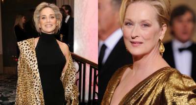 Sharon Stone enrages Twitterati after stating she’s a ‘much better’ actress than Meryl Streep - www.pinkvilla.com - Hollywood - county Stone