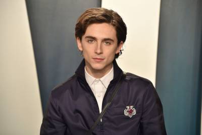 Timothée Chalamet Has Fans Excited About His New Red Hairdo - etcanada.com