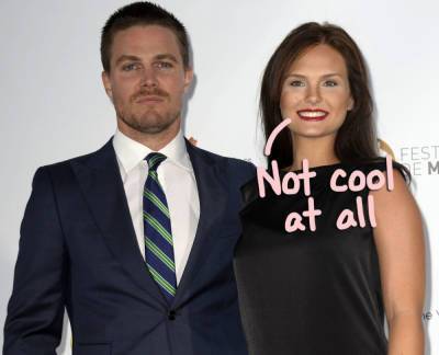 Stephen Amell's Wife Shares Cryptic Posts About 'Self-Care' Following Ugly Airplane Incident - perezhilton.com