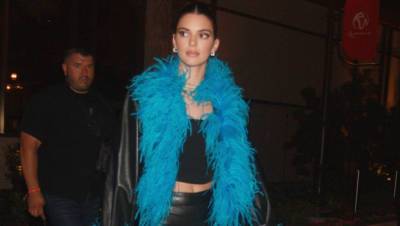 Kendall Jenner Rocks A Crop Top, Leather Pants Fierce Boa For Night Out In Vegas — Photo - hollywoodlife.com - Las Vegas - city Sin