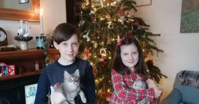 Stark warning to cat owners over 'devastating disease' which has claimed Trafford family's beloved pets - www.manchestereveningnews.co.uk