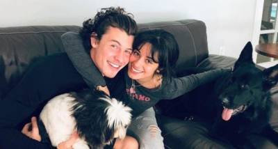 Shawn Mendes RECALLS an argument with GF Camila Cabello that made him realise his biggest fear - www.pinkvilla.com