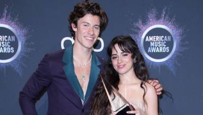 Shawn Mendes Reveals: ‘I Did Raise My Voice At’ Camila Cabello During A Recent Fight — Watch - hollywoodlife.com