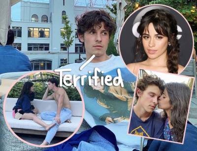 Shawn Mendes Fears 'Being Evil' After Scary Argument With Camila Cabello - perezhilton.com