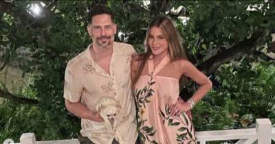 Sofia Vergara's pet peeve - Bubbles the Chihuahua has stolen her husband! - www.msn.com - Colombia