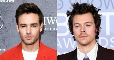 Liam Payne Teases One Direction Reunion While Detailing ‘Lovely’ Phone Call With Harry Styles - www.usmagazine.com