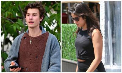 Shawn Mendes reveals terrifying fight with Camila Cabello - us.hola.com