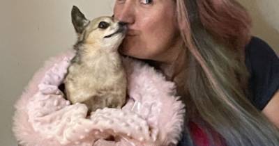 Devastated dog owner gets precious pet pooch stuffed 'so she can live forever' - www.manchestereveningnews.co.uk