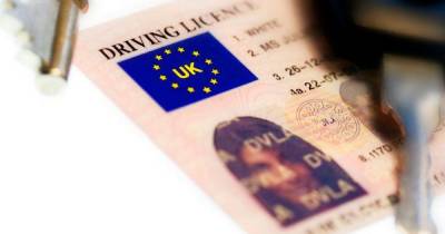 Drivers warned over copycat DVLA websites charging up to £100 for a new licence - www.dailyrecord.co.uk