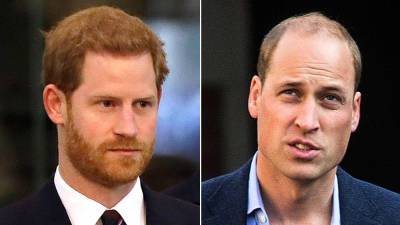 Prince William, Prince Harry will remain civil at reunion but ‘reconciliation is a long way off,' experts say - www.foxnews.com