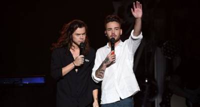 One Direction's Liam Payne says he, Harry Styles had a lovely chat: He has a sixth sense for if I'm struggling - www.pinkvilla.com