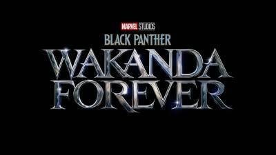 'Black Panther: Wakanda Forever': Everything We Know About the Sequel - www.etonline.com