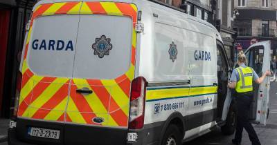 Baby dies after being attacked by a dog in Ireland - www.manchestereveningnews.co.uk - Ireland