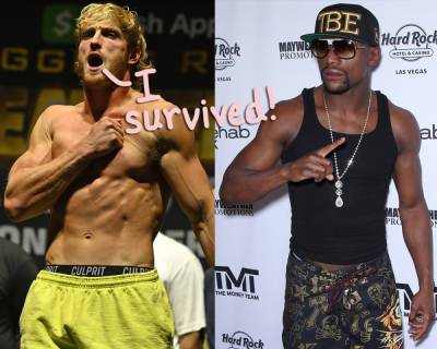 Frustrated Twitter Fans Accuse Floyd Mayweather & Logan Paul Of 'Legalized Bank Robbery' Following Fight! - perezhilton.com