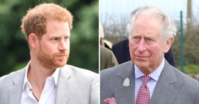 princess Diana - Prince Harry - Harry Is - Stewart Pearce - Prince Harry’s Strained Relationship With Prince Charles Is ‘Unfortunate,’ Diana’s Voice Coach Says - usmagazine.com