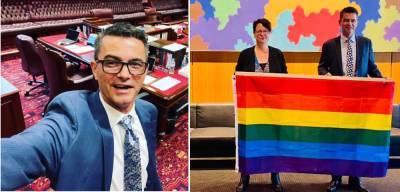 NSW Legislative Council: Shayne Mallard Is Government Whip, Penny Sharpe Elected Leader of Opposition - www.starobserver.com.au
