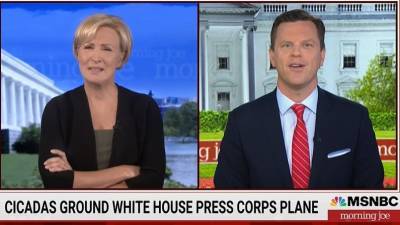 ‘Morning Joe’ Host Bugs Out Over Cicadas Grounding White House Press Plane: ‘I Can’t Even’ (Video) - thewrap.com - New York