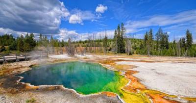 Young man boiled alive then dissolved after falling in a national park pool - www.dailyrecord.co.uk - county Hot Spring