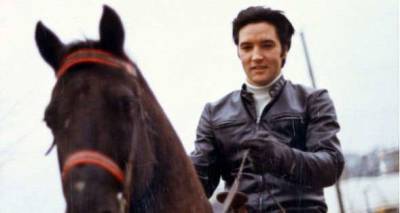 Elvis Presley furiously punched his horse during a romantic date - www.msn.com