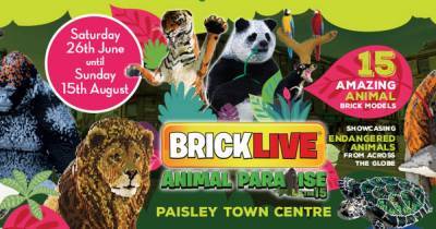 Exotic animals pop up across Paisley as BrickLive returns to town - www.dailyrecord.co.uk
