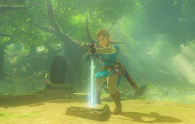 A ‘Breath Of The Wild’ player finally opens the game’s unattainable chest - www.nme.com