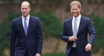 PHOTOS: Prince William and Prince Harry have an EMOTIONAL reunion at Princess Diana statue unveiling - www.pinkvilla.com