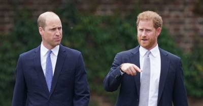 Princes William and Harry 'to hold private meeting' after Diana statue unveiling - www.ok.co.uk