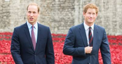 Prince William and Prince Harry’s Most Heart-Wrenching Quotes About the Late Princess Diana - www.usmagazine.com - Paris